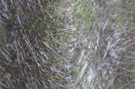 Stony Batter fibreglass roof work